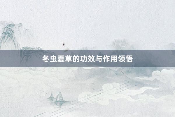冬虫夏草的功效与作用领悟